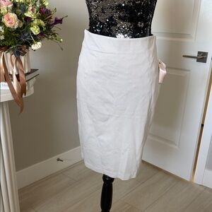 Philosophy Pencil Skirt